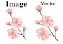 convert low image to vector tracing high quality